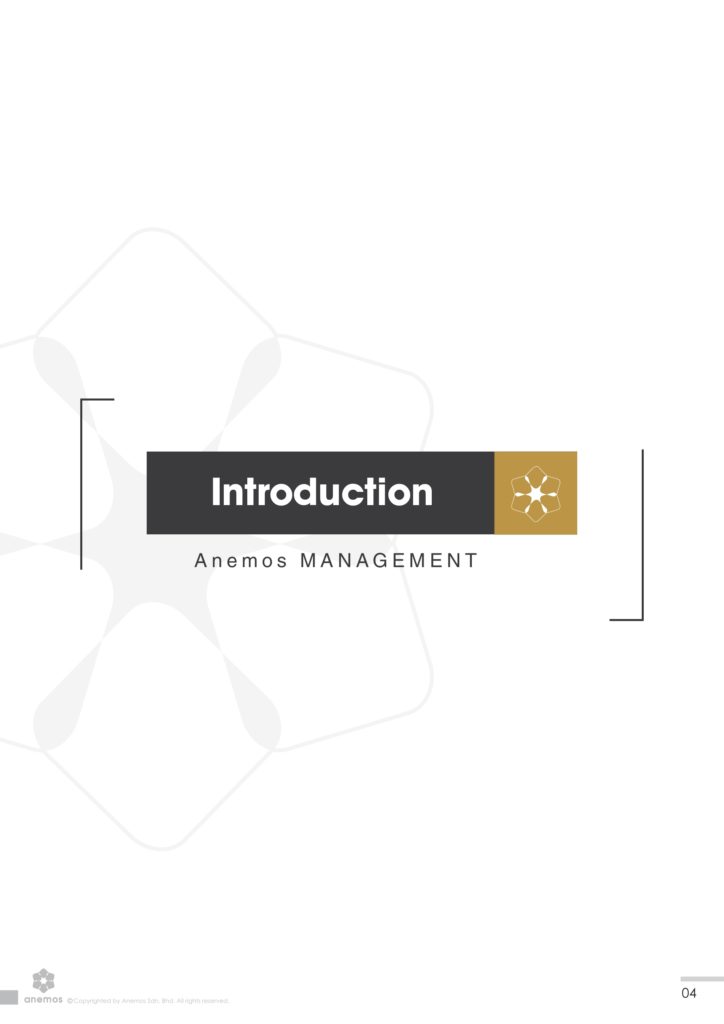 About Us – Anemos Global
